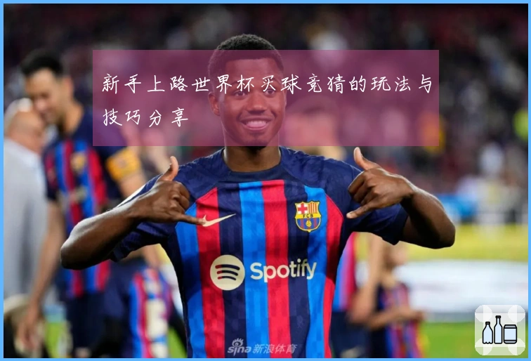 新手上路世界杯买球竞猜的玩法与技巧分享