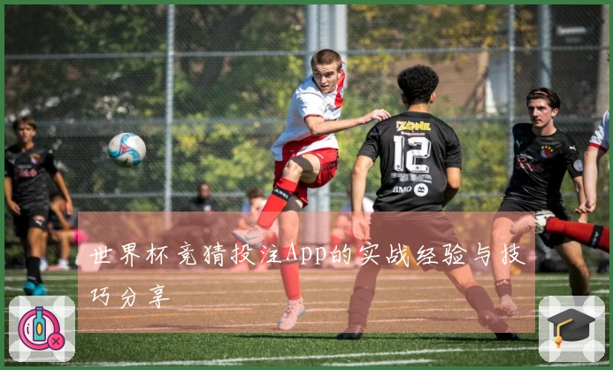 世界杯竞猜投注App的实战经验与技巧分享