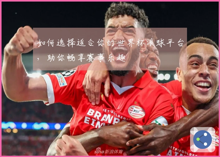如何选择适合你的世界杯滚球平台，助你畅享赛事乐趣