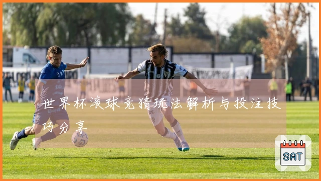 世界杯滚球竞猜玩法解析与投注技巧分享
