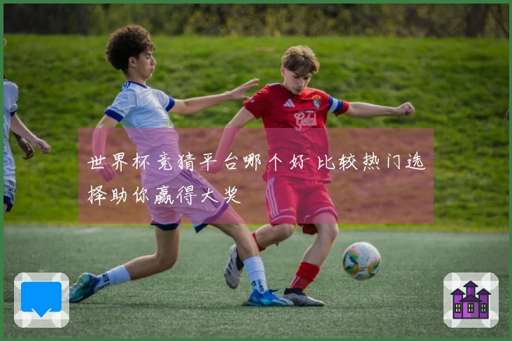 世界杯竞猜平台哪个好 比较热门选择助你赢得大奖