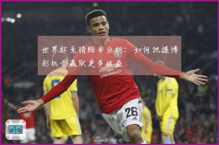 世界杯竞猜赔率分析：如何把握博彩机会赢取更多收益