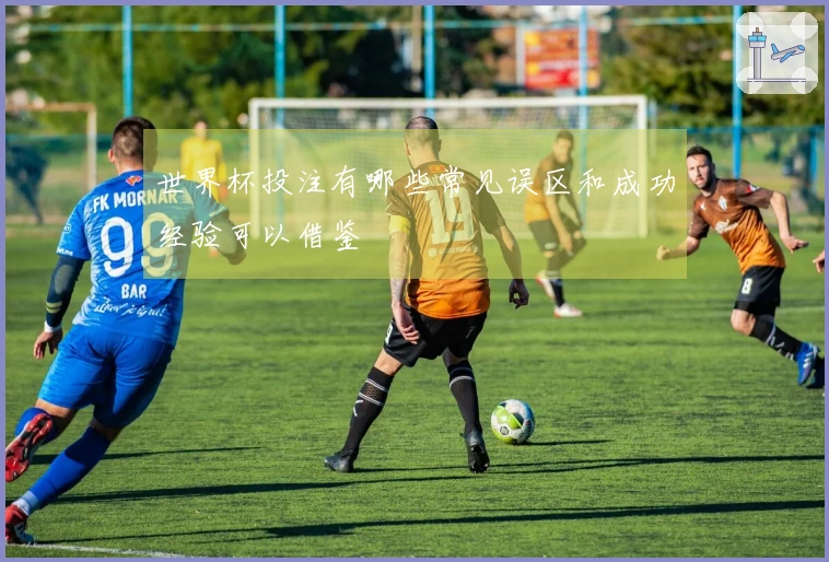 世界杯投注有哪些常见误区和成功经验可以借鉴