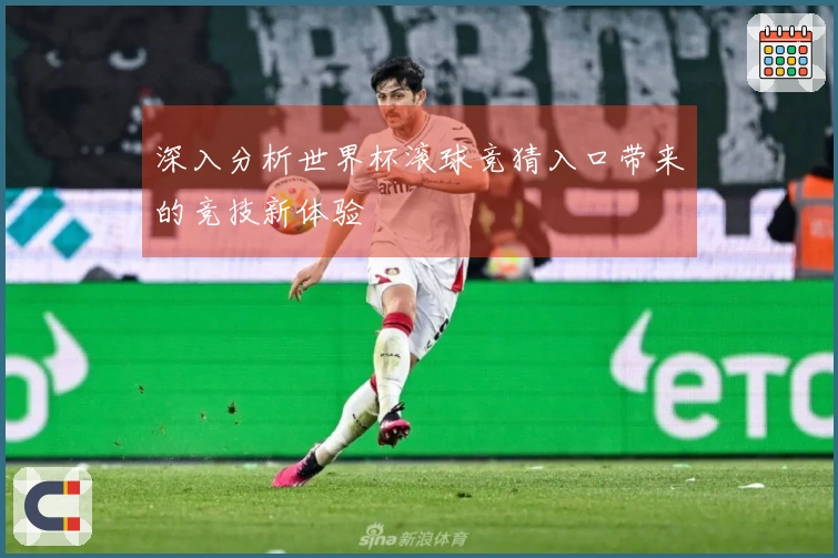 深入分析世界杯滚球竞猜入口带来的竞技新体验