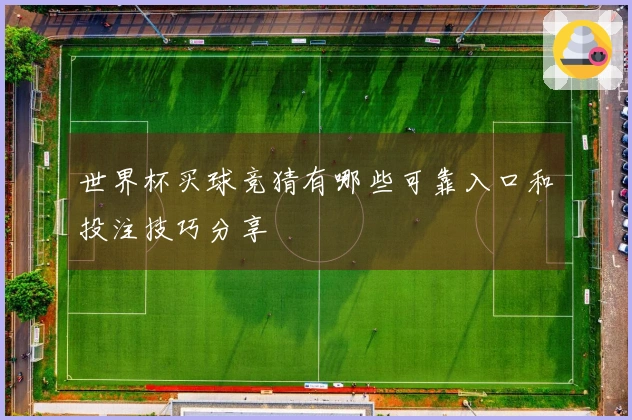 世界杯买球竞猜有哪些可靠入口和投注技巧分享