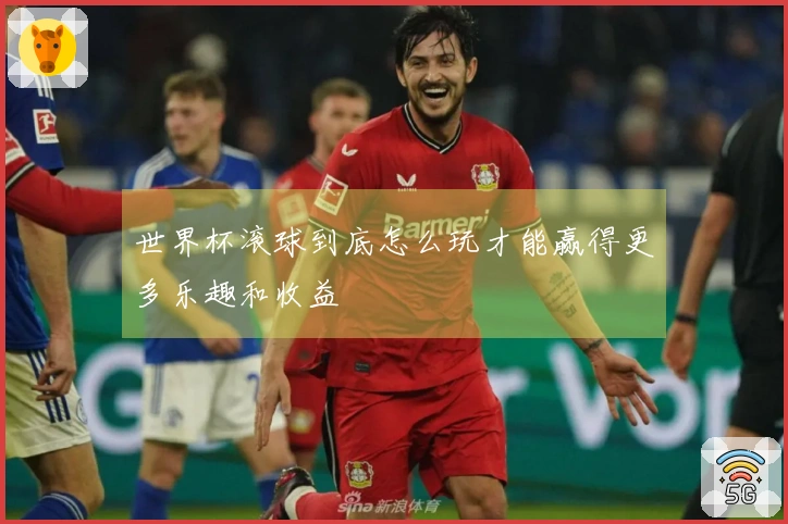 世界杯滚球到底怎么玩才能赢得更多乐趣和收益