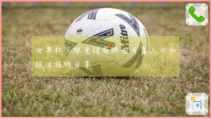 世界杯买球竞猜有哪些可靠入口和投注技巧分享