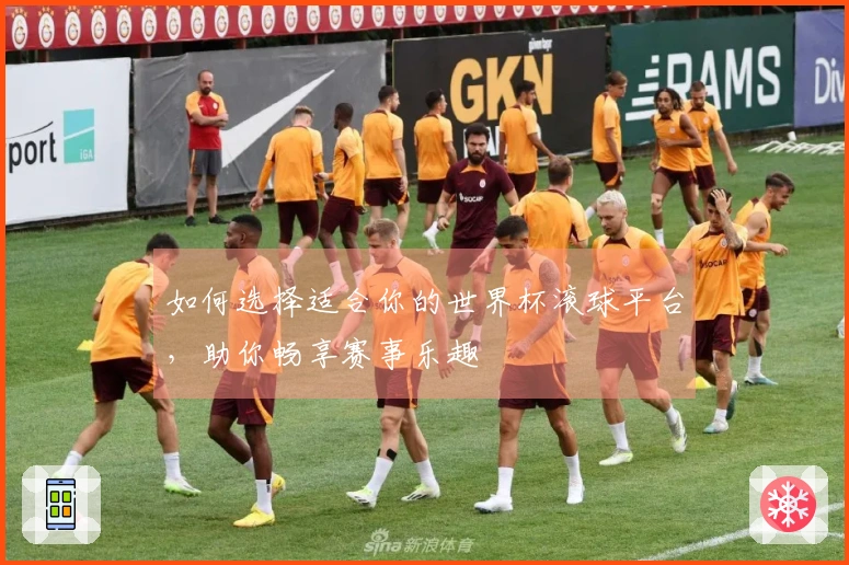 如何选择适合你的世界杯滚球平台，助你畅享赛事乐趣