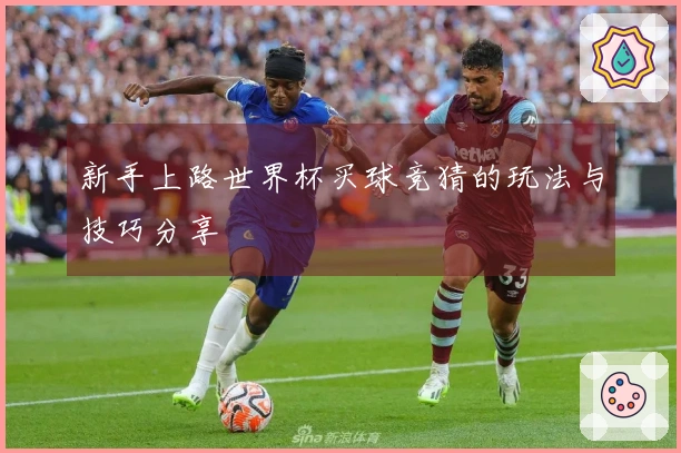 新手上路世界杯买球竞猜的玩法与技巧分享