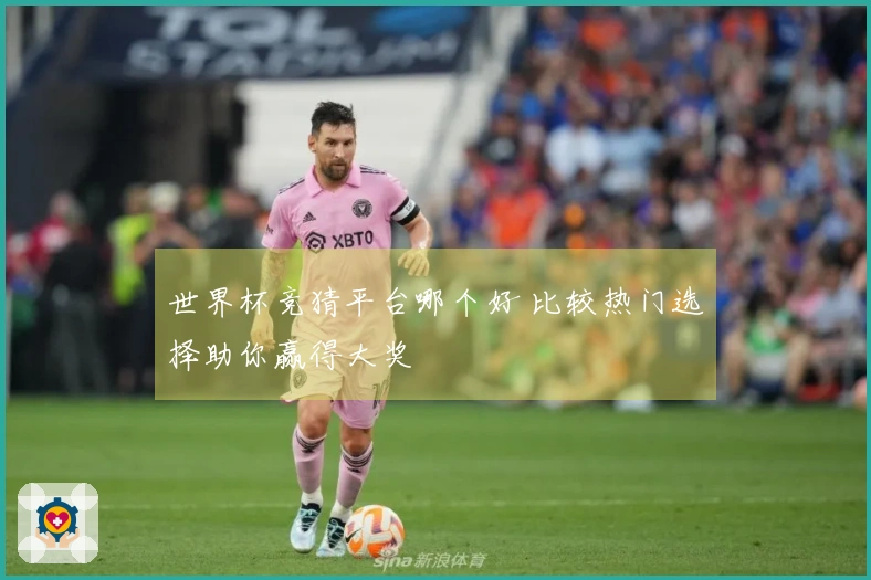 世界杯竞猜平台哪个好 比较热门选择助你赢得大奖