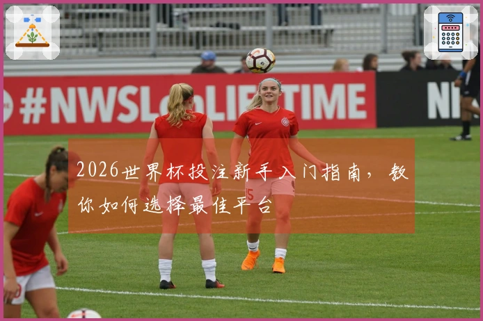 2026世界杯投注新手入门指南，教你如何选择最佳平台