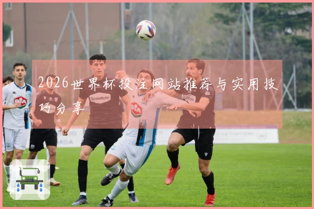 2026世界杯投注网站推荐与实用技巧分享