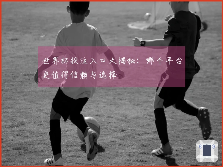 世界杯投注入口大揭秘：哪个平台更值得信赖与选择