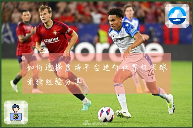 如何选择靠谱平台进行世界杯买球竞猜经验分享